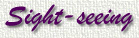Sightseeing.jpg (8167 bytes)