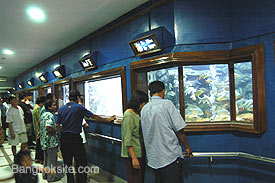 Aquarium2.jpg (20068 bytes)