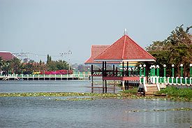 Bung1.jpg (18441 bytes)