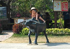 Village6.jpg (20034 bytes)