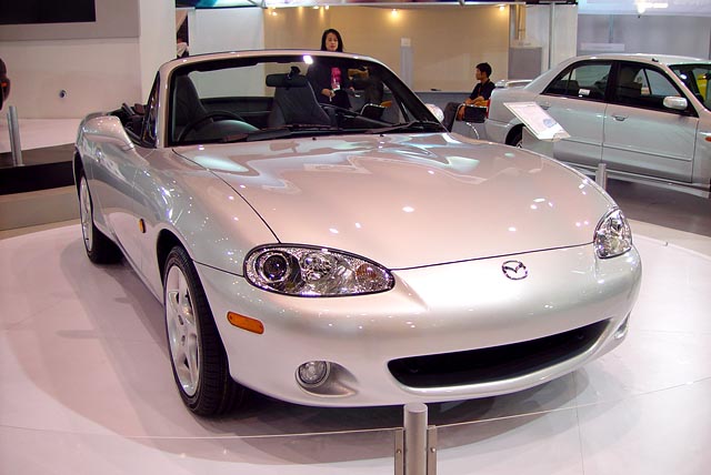 Car14L.JPG (53341 bytes)