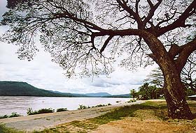 Khongjiam1.jpg (30868 bytes)