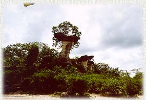 SaoChaliang1.jpg (21518 bytes)