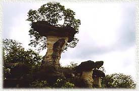 Ubon87A.JPG (17523 bytes)