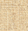 Brown3.JPG (23843 bytes)