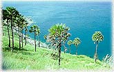 Phuket.jpg (13093 bytes)