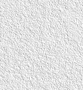Silver.JPG (14111 bytes)