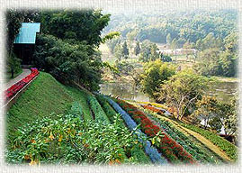 PangTong1_250.jpg (26981 bytes)