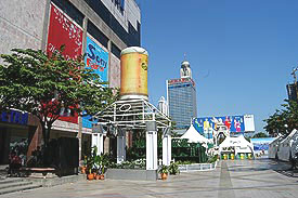 N8493A.jpg (22115 bytes)