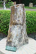 StonePark3S.JPG (16930 bytes)