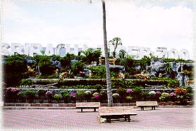 Zoo1.jpg (22077 bytes)