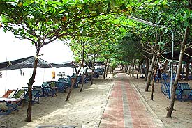 Maepim2.JPG (31597 bytes)