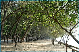 SuanSonBeach2.jpg (24795 bytes)