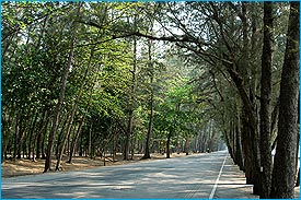 SuanSonRoad1.jpg (25624 bytes)