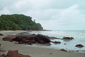 Wk2.JPG (13220 bytes)