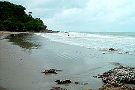 Wk3.JPG (14404 bytes)