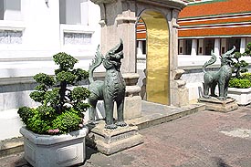 Lions.JPG (27857 bytes)